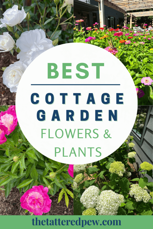 Best Cottage Garden Flowers And Plants Beauty With Ease In The Garden