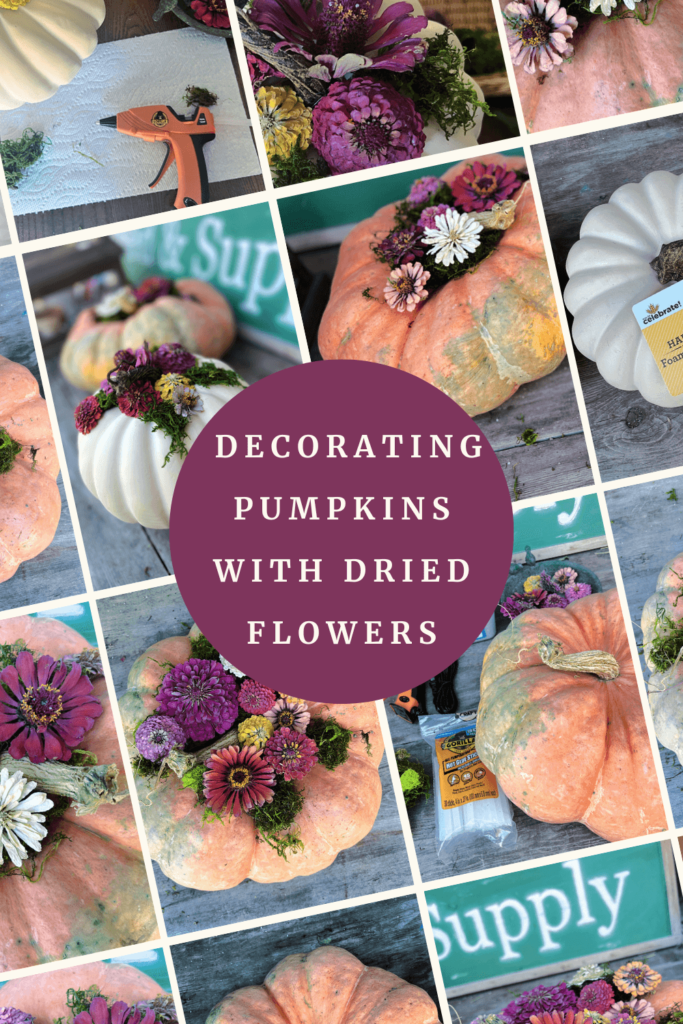 decorating pumpkins with fried zinnia flowers