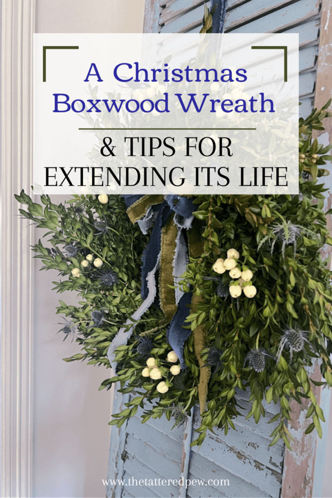 https://www.thetatteredpew.com/wp-content/uploads/Boxwood-wreath-Tips-for-Extending-Its-Life-pin-1-683x1024.png