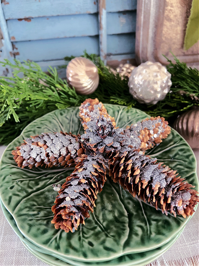 Pine Cones for Christmas Tree. Set of 10 Lovely Christmas Pine