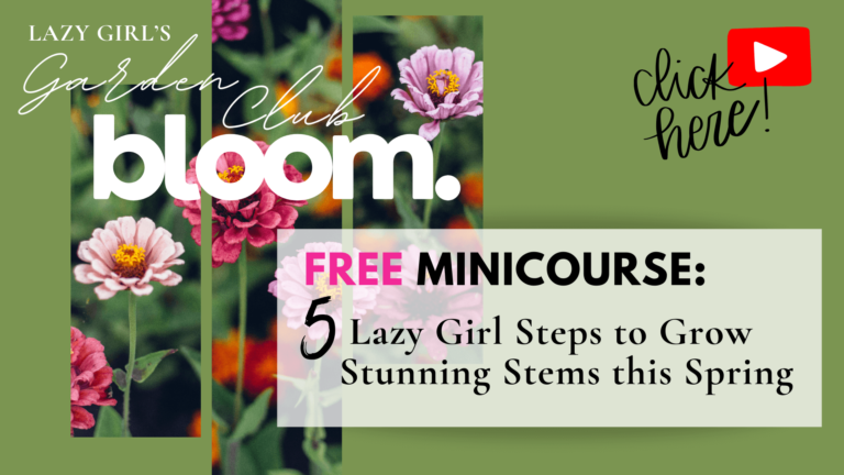 5 free Lazy Girl Steps to Grow Stunning Stems this Spring