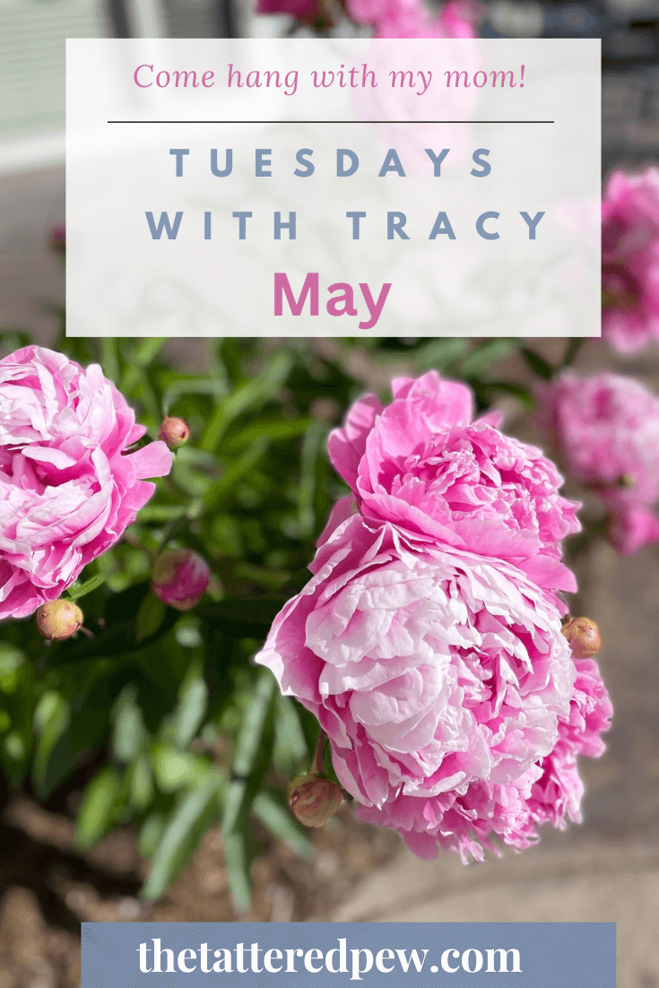Tuesdays With Tracy Refreshing My Home & Garden for Summer