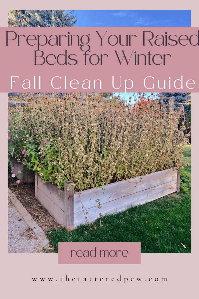 Preparing your raised beds for winter a fall cleanup guide