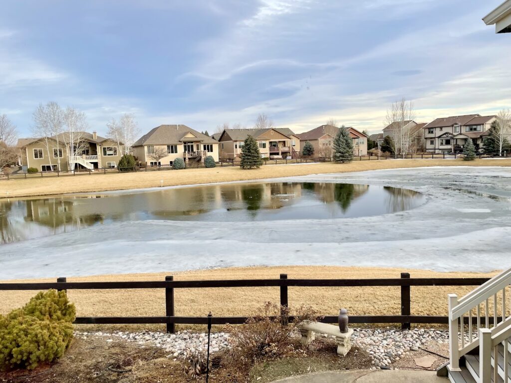 February pond view