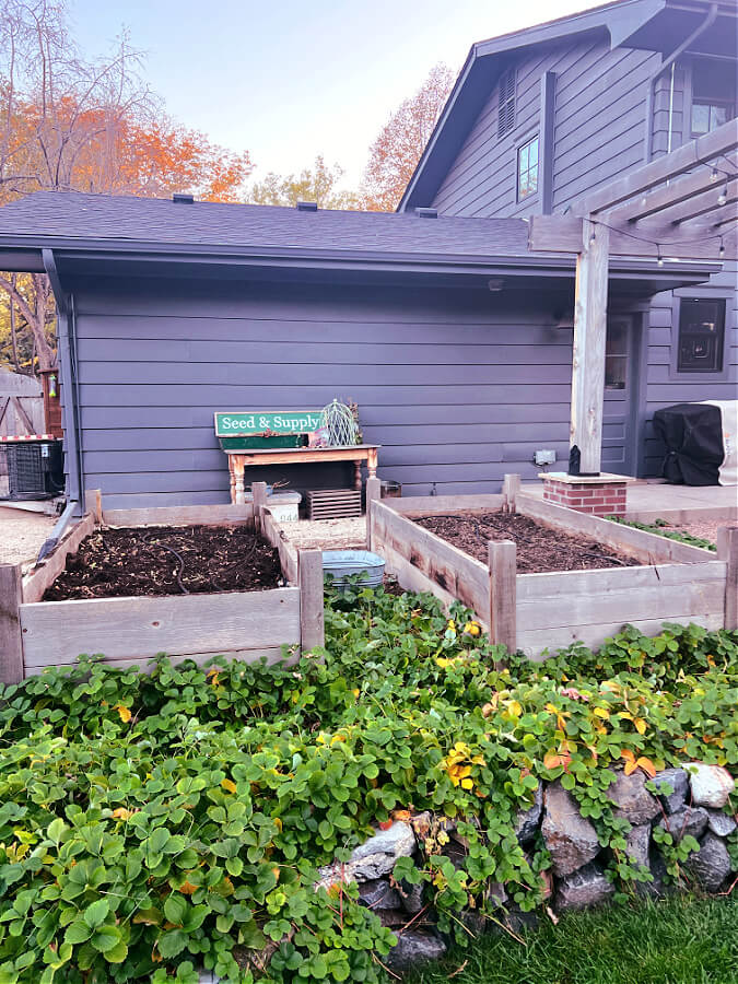 Our cleaned out raised garden beds