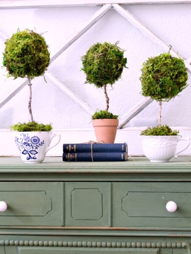 DIY Mini Tea Cup Topiary