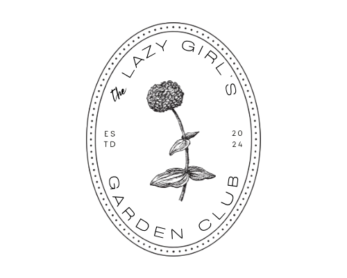 lazy girl logo