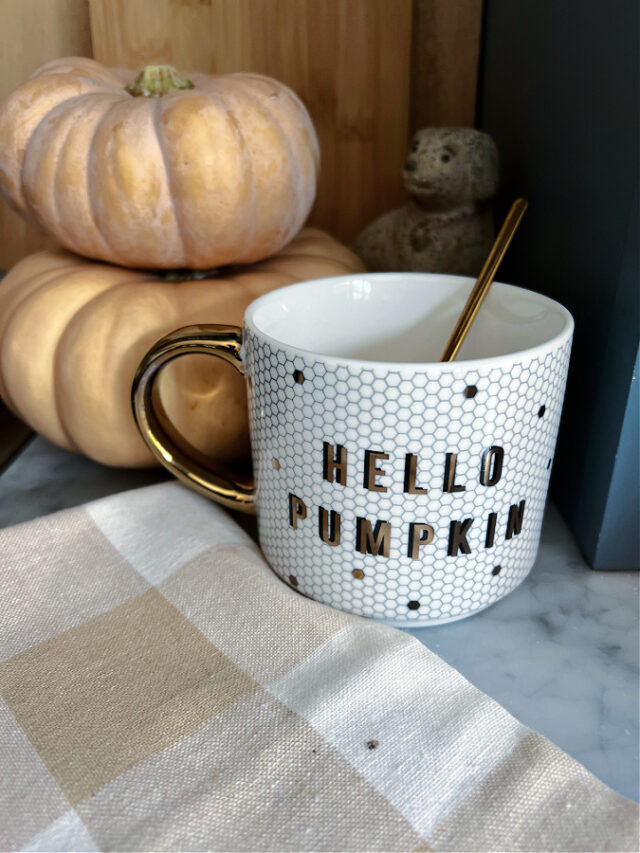 Cozy Fall Finds From Amazon