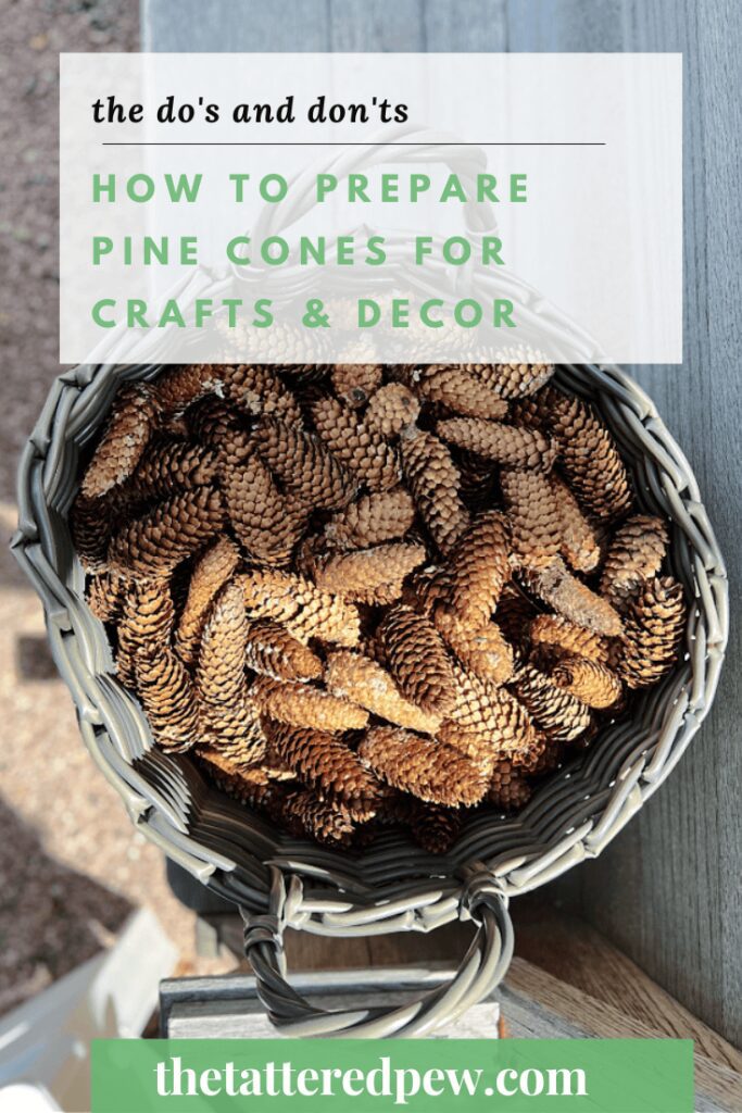 How to Prepare REAL Pinecones for Decorating 