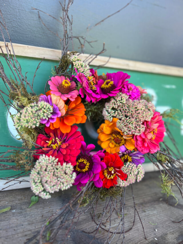 How To Make A Dried Zinnia Wreath Grow Beauty With Ease