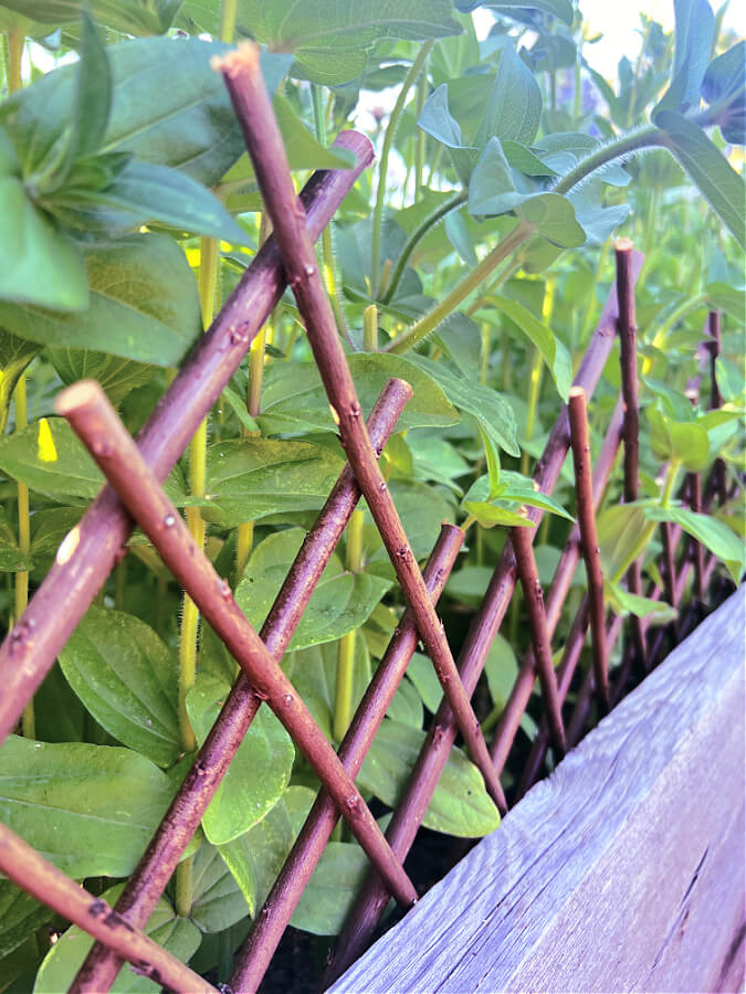 expandable willow fencing for raised beds