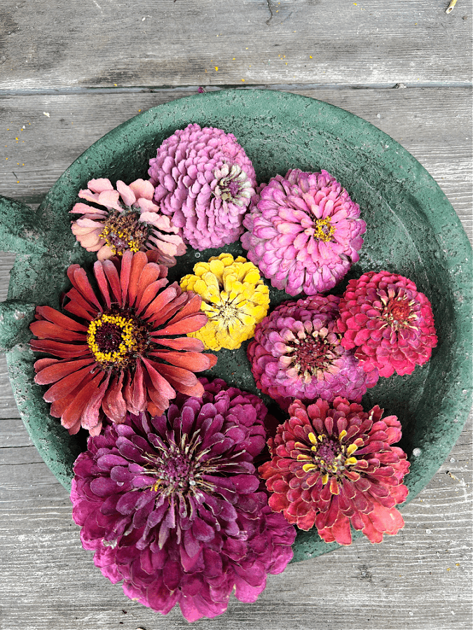 Preserved flowers in silica crystals