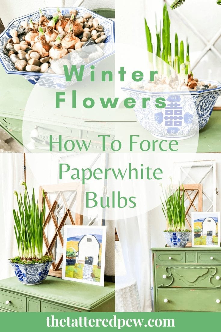 How to Force Paperwhites