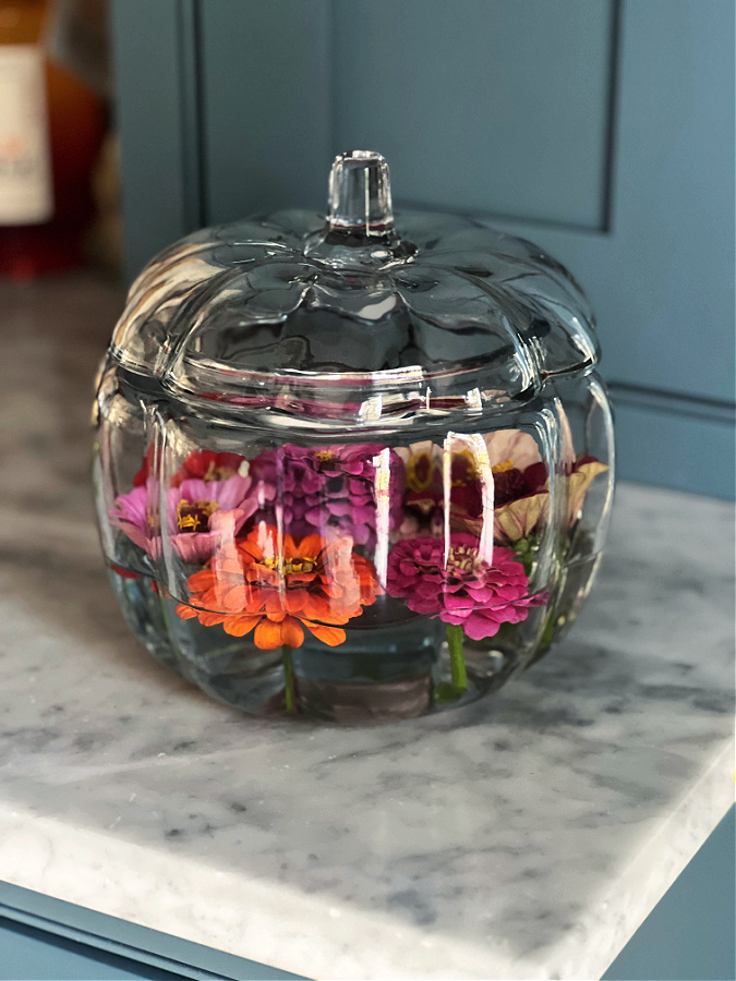 Glass pumpkin with floating flowers in kitchen