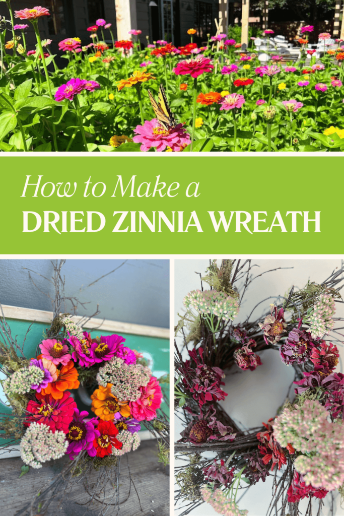 How to Make a Dried Zinnia Wreath