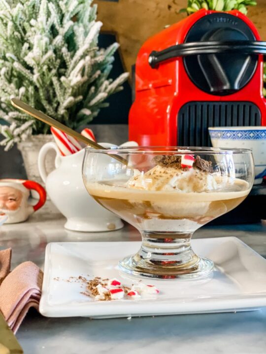 https://www.thetatteredpew.com/wp-content/uploads/how-to-make-an-affogato-at-home-8-540x720.jpg