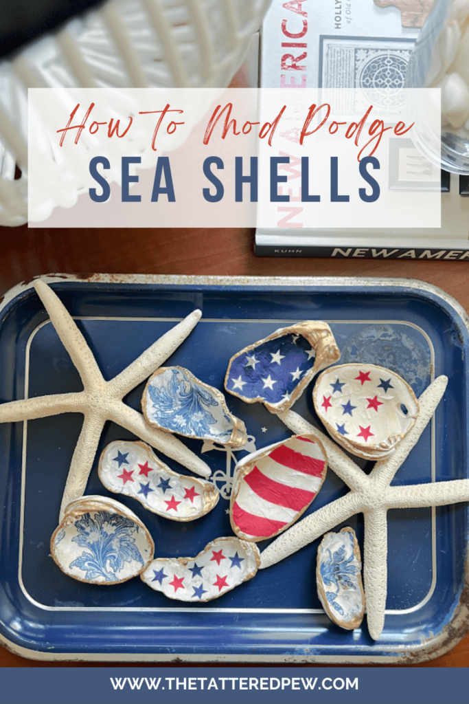 Sea Shells for Crafting, Arts, Crafts Supplies, Decorations (8 Pieces)