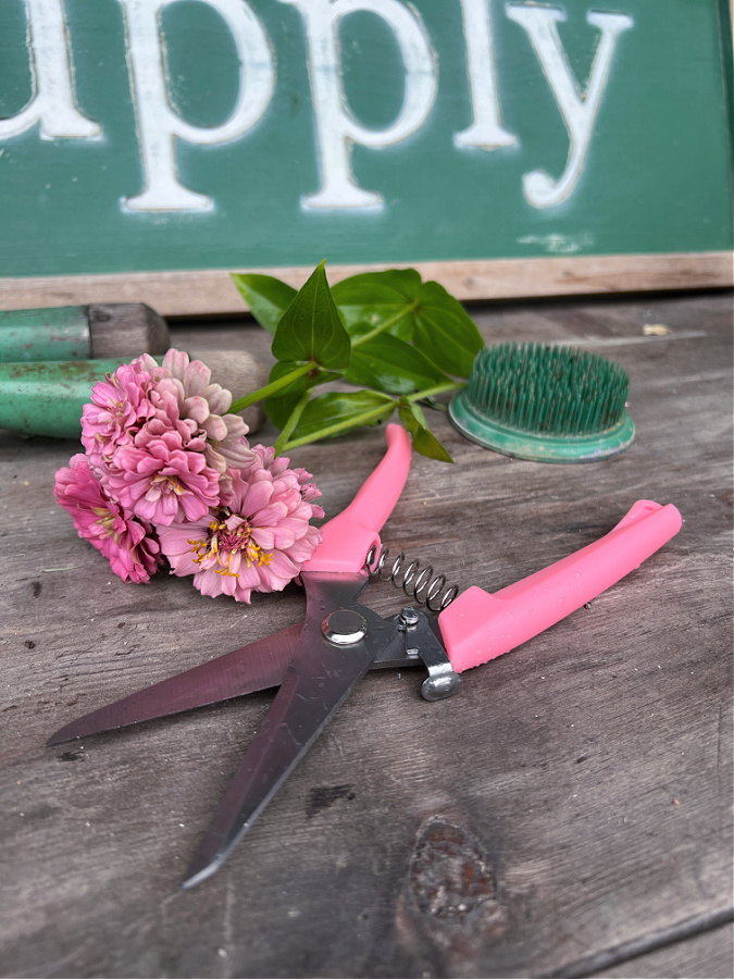 pink shears