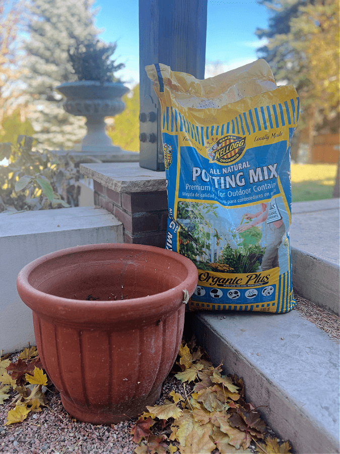 pot and potting soil