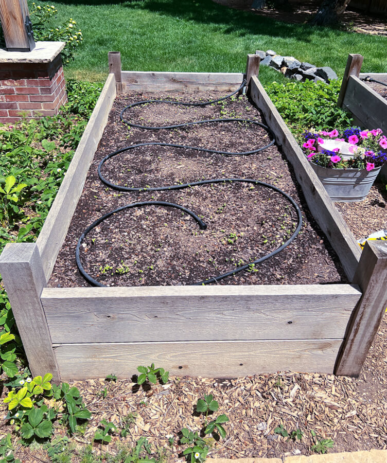 in ground waerinf and raised bed soakers