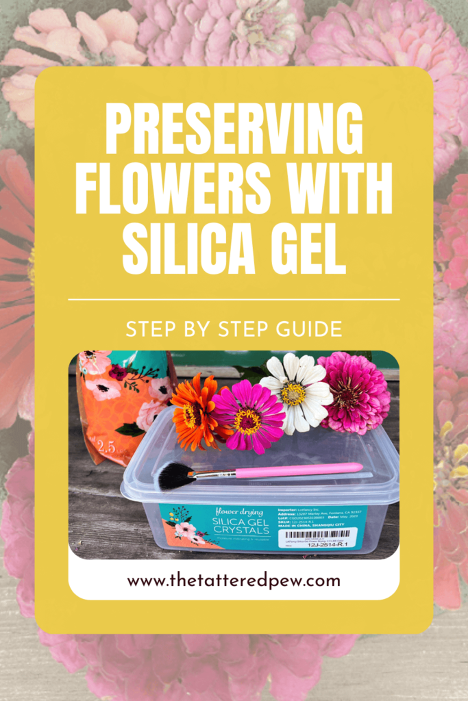 Discovering the magic of a silica gel flower drying kit