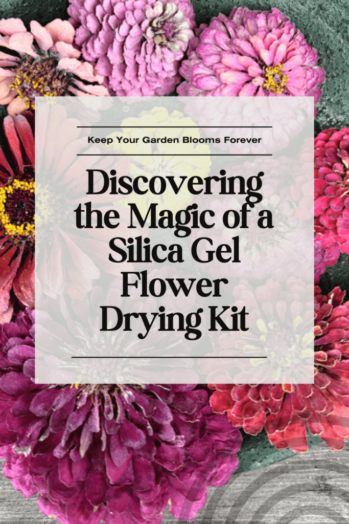 Keep Your Garden Blooms Forever using a silica flower gel kit