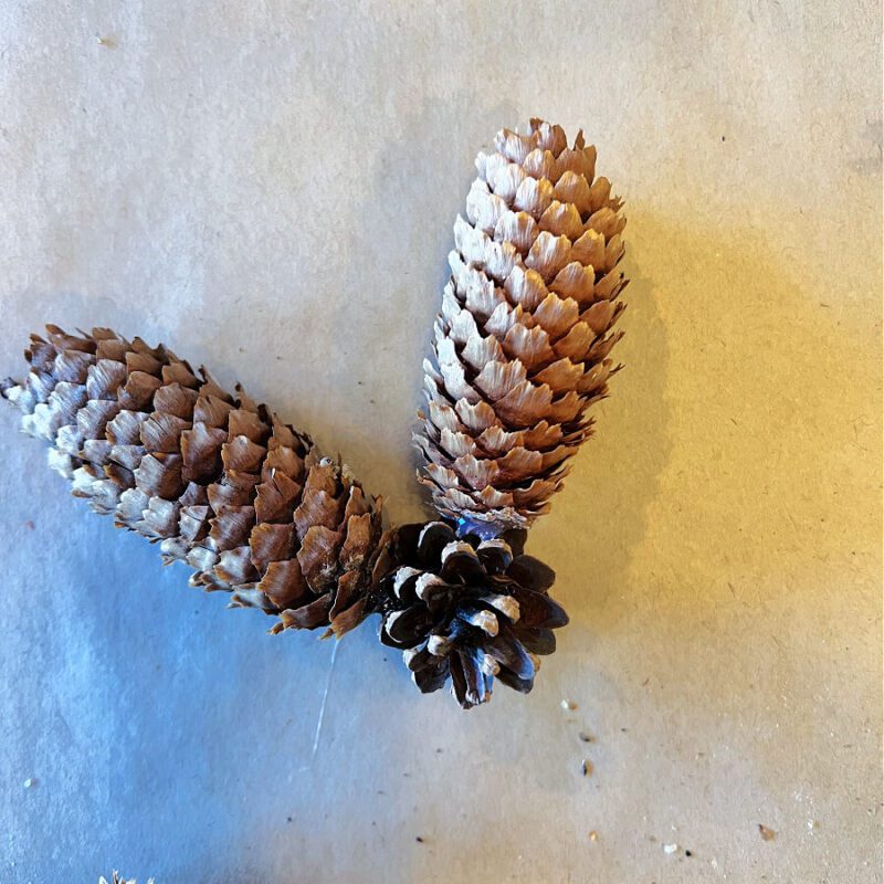 Simple DIY Star Shaped Pinecone Ornaments » Grow Beauty With Ease