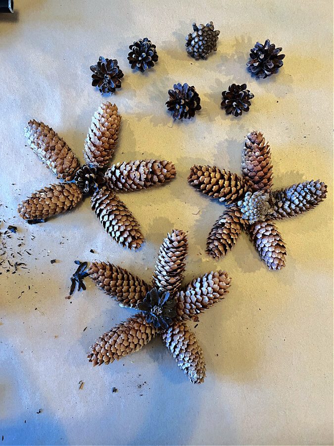 Star shaped pinecone ornaments are as budget friendly as it gets for Christmas decor!