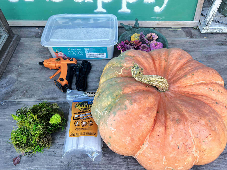 supplies for dried flower pumpkins