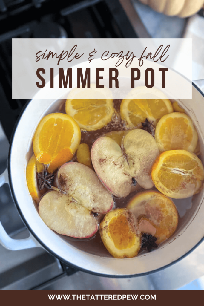 Fall Simmering Stovetop Potpourri Recipe - Inspiration For Moms