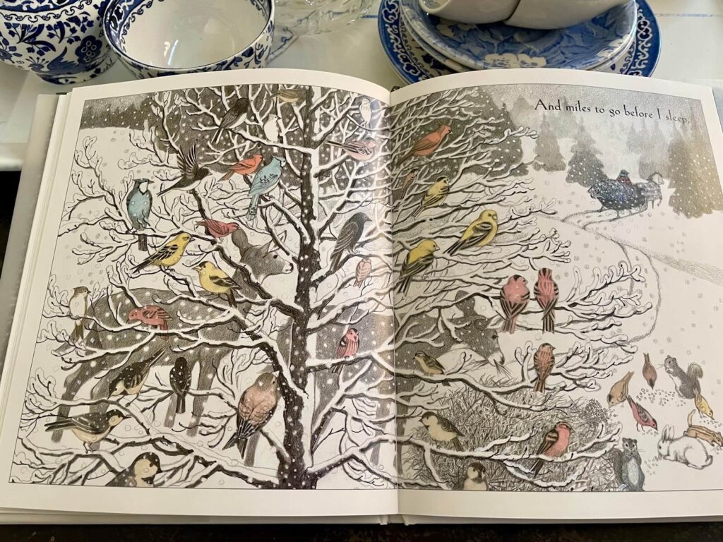 winter birds book page open