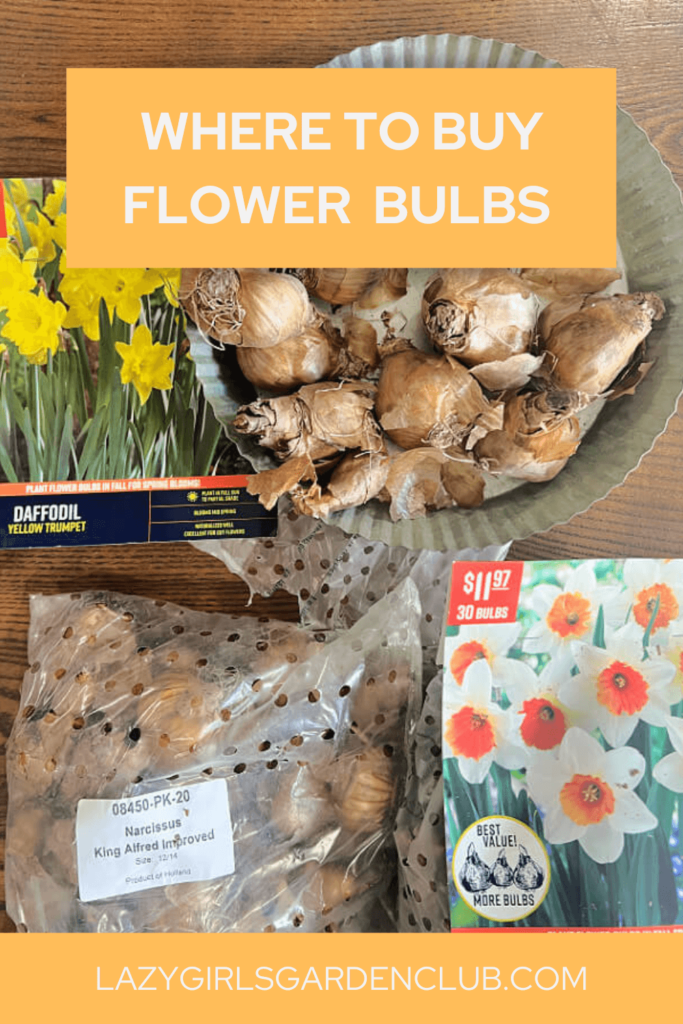 Where to Find Flower Bulbs